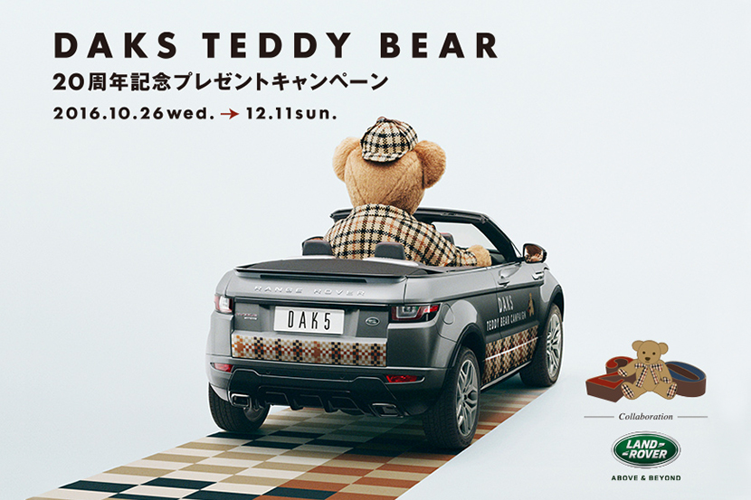 daks_teddy_20161115.jpg