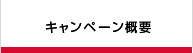キャンペーン概要