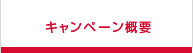 キャンペーン概要