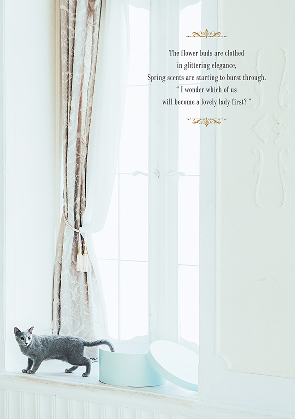 2016-01-15｜CATALOG｜TOCCA BAMBINI(KIDS) -ONWARD-