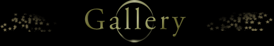 ギャラリー